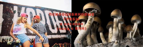 бошки Армянск