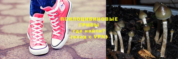 бошки Армянск