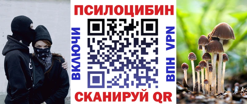 MEGA как войти закладки Ельня Псилоцибиновые грибы Magic Shrooms
